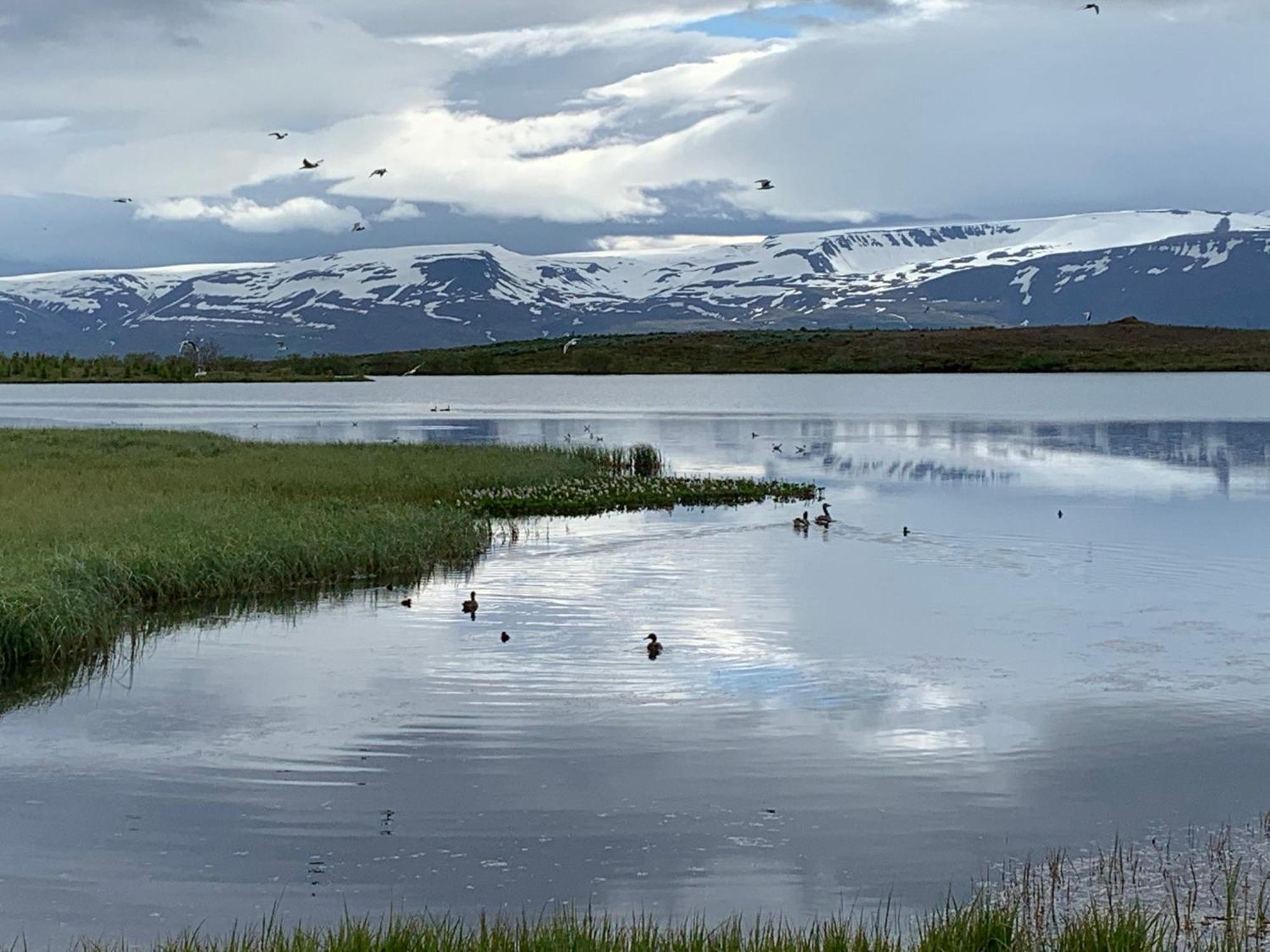 Kaldbaks-kot cottages Húsavík Exteriör bild