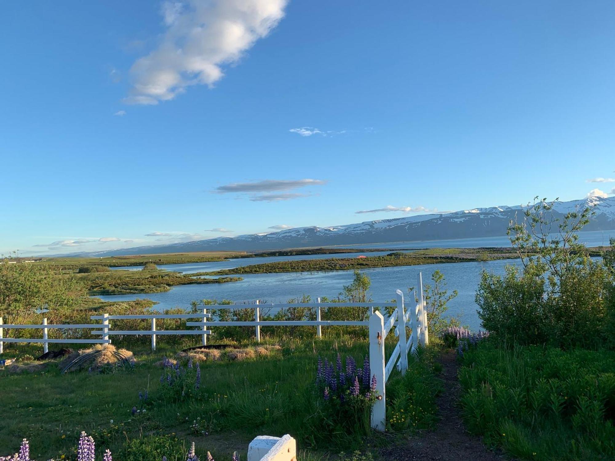 Kaldbaks-kot cottages Húsavík Exteriör bild