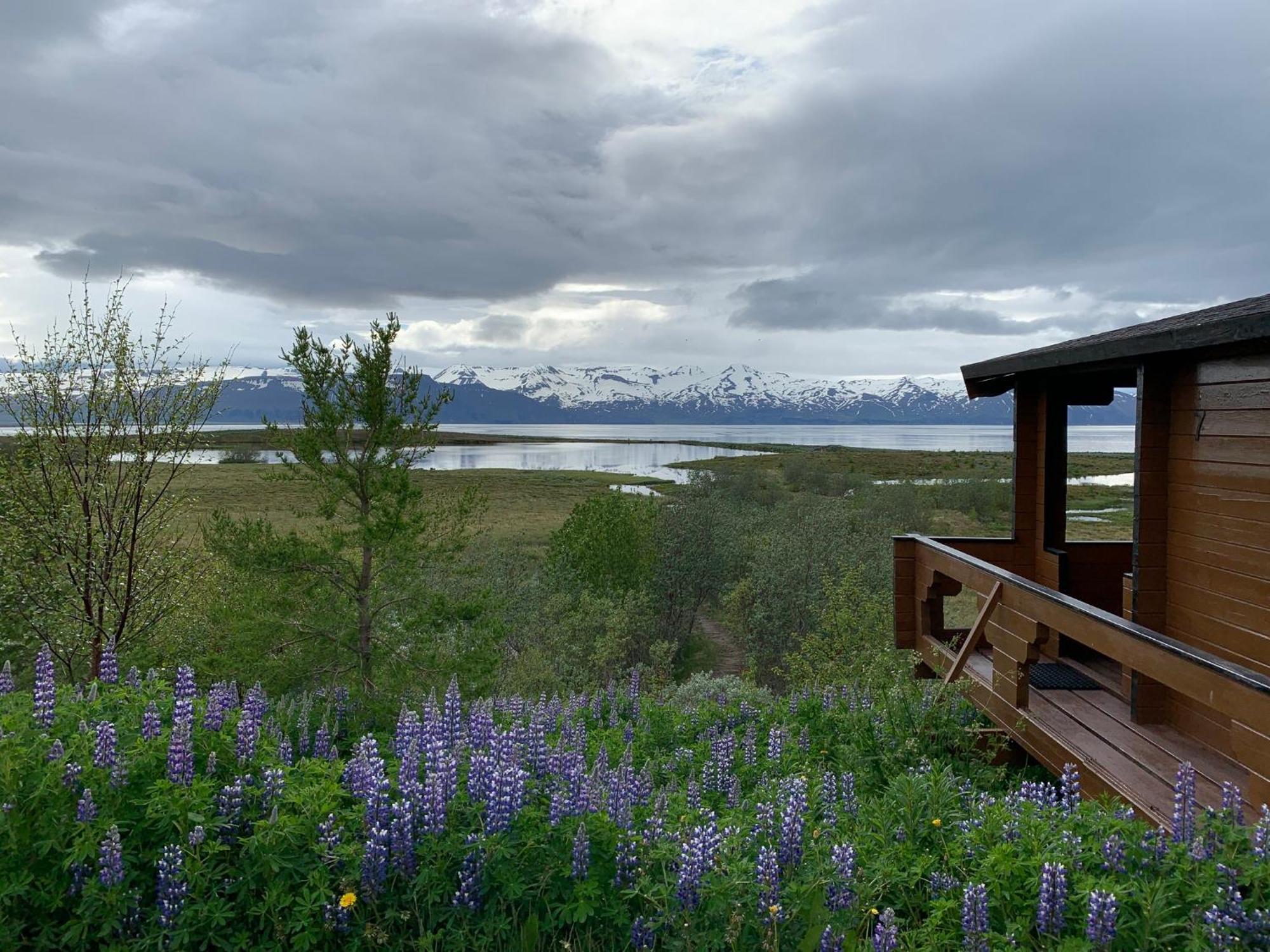 Kaldbaks-kot cottages Húsavík Exteriör bild