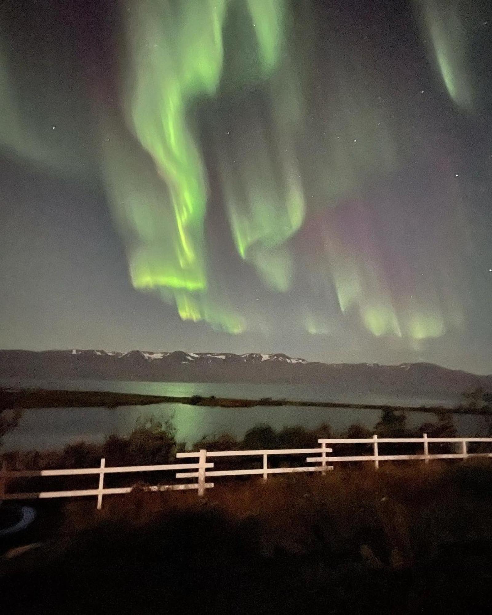 Kaldbaks-kot cottages Húsavík Exteriör bild